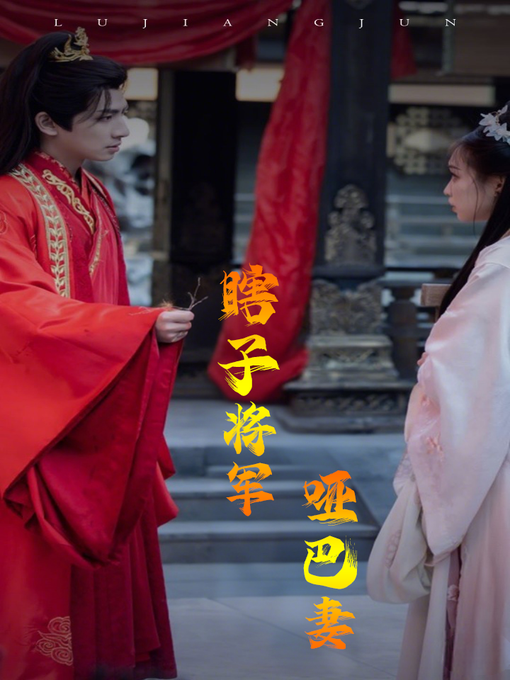 瞎子将军哑巴妻