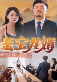 鉴宝龙婿