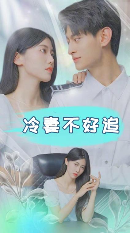 冷妻不好追