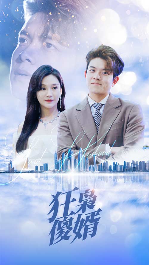 狂枭傻婿