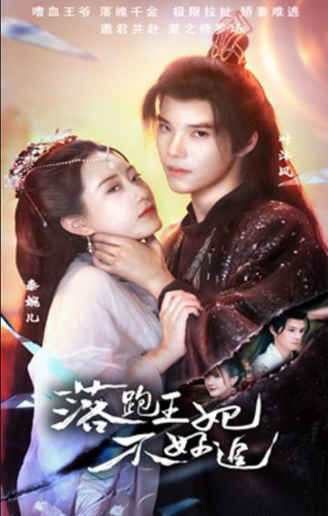 落跑王妃不好追