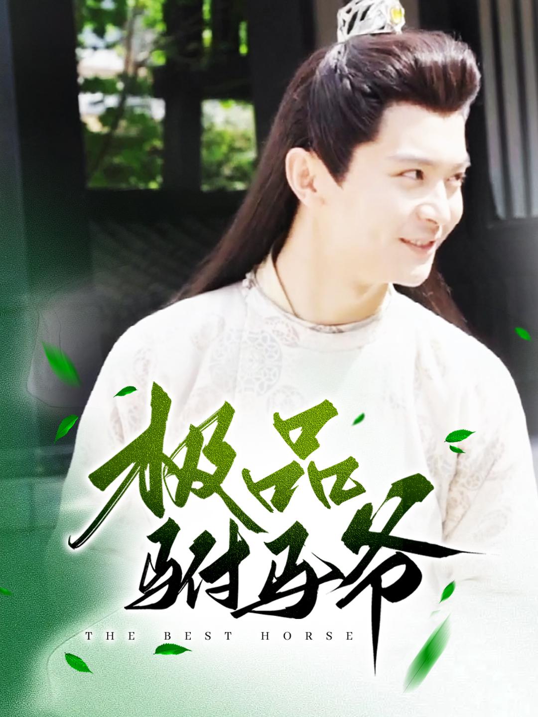 极品驸马爷