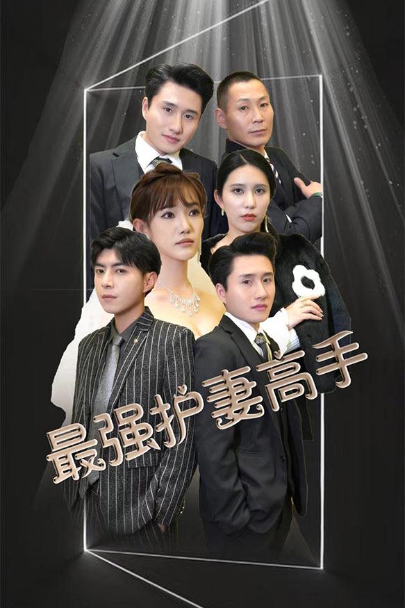 最强护妻高手