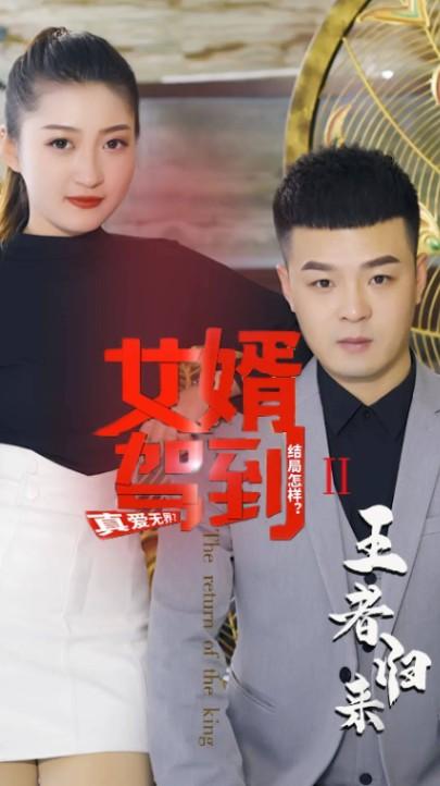 女婿驾到之王者归来