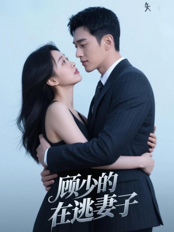 顾少的在逃妻子