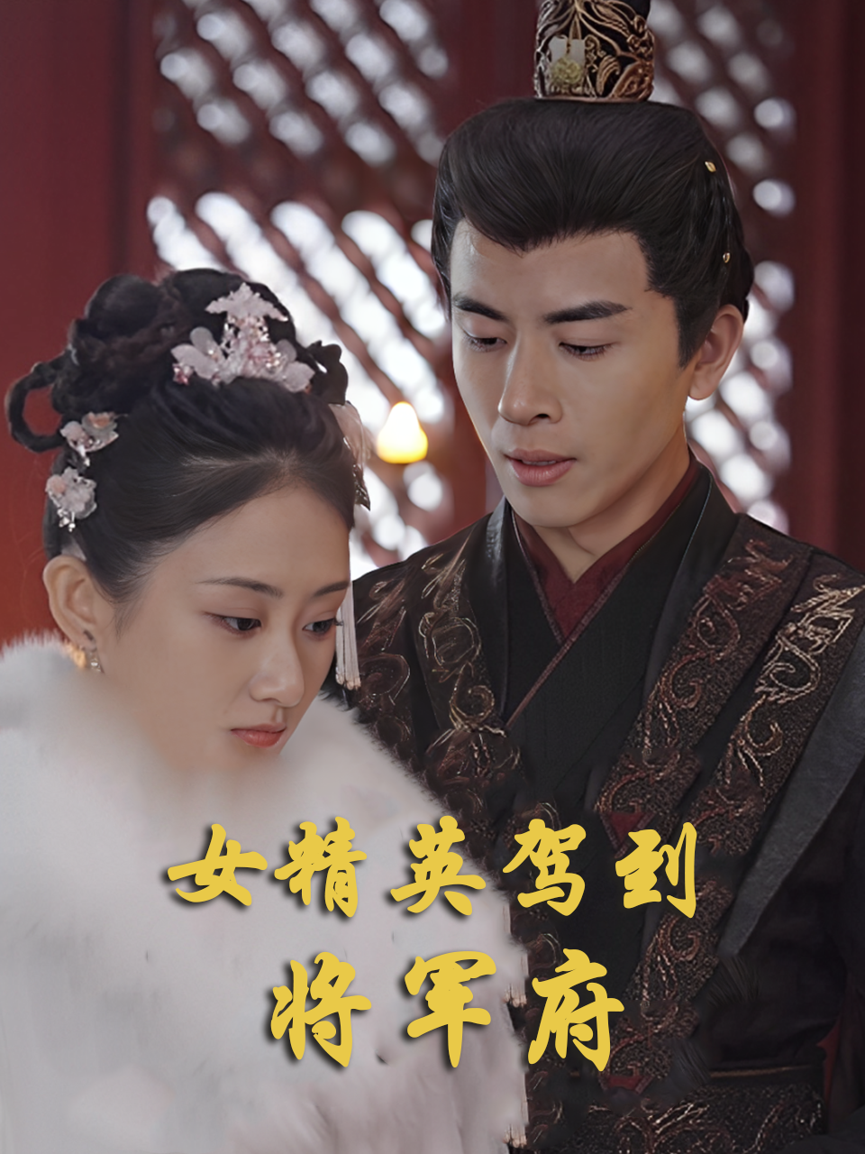女精英驾到将军府
