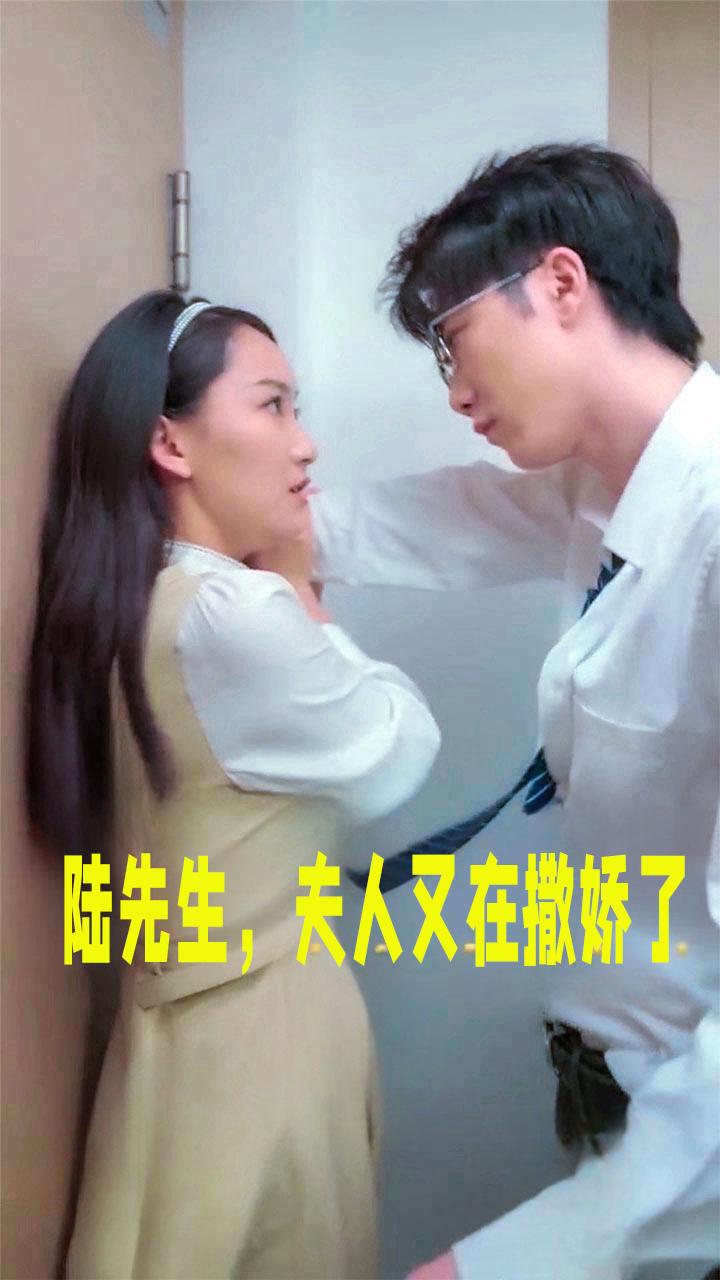 陆先生，夫人又在撒娇了