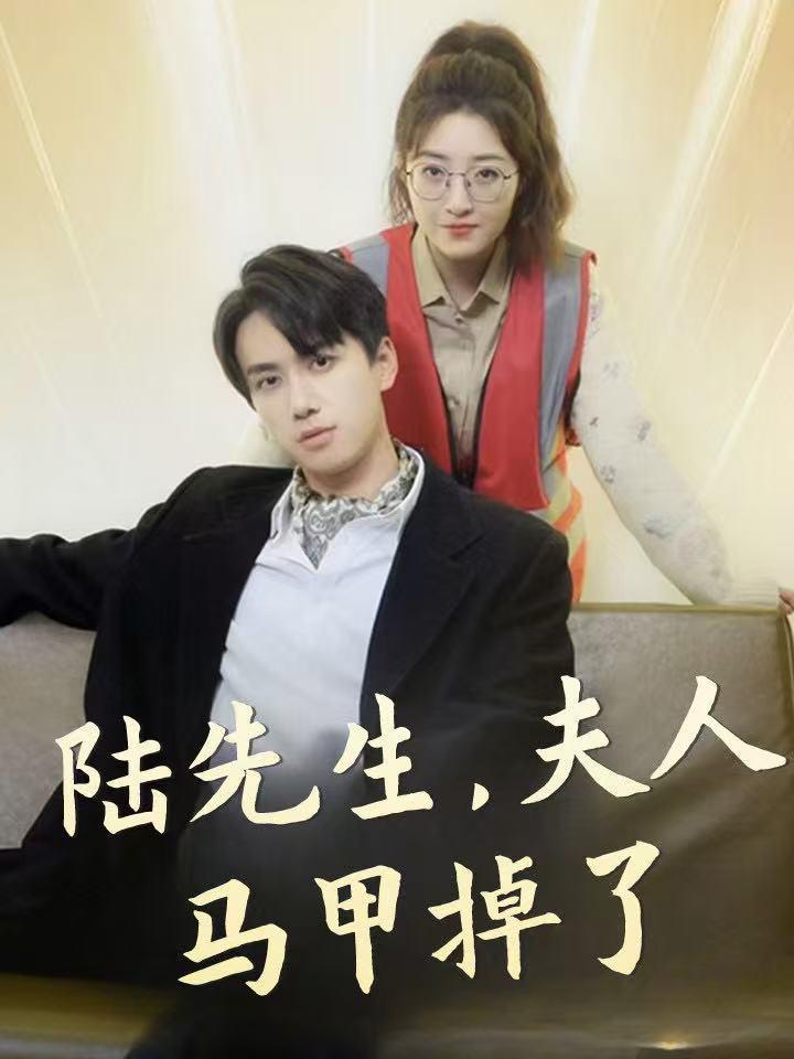 陆先生，夫人马甲掉了