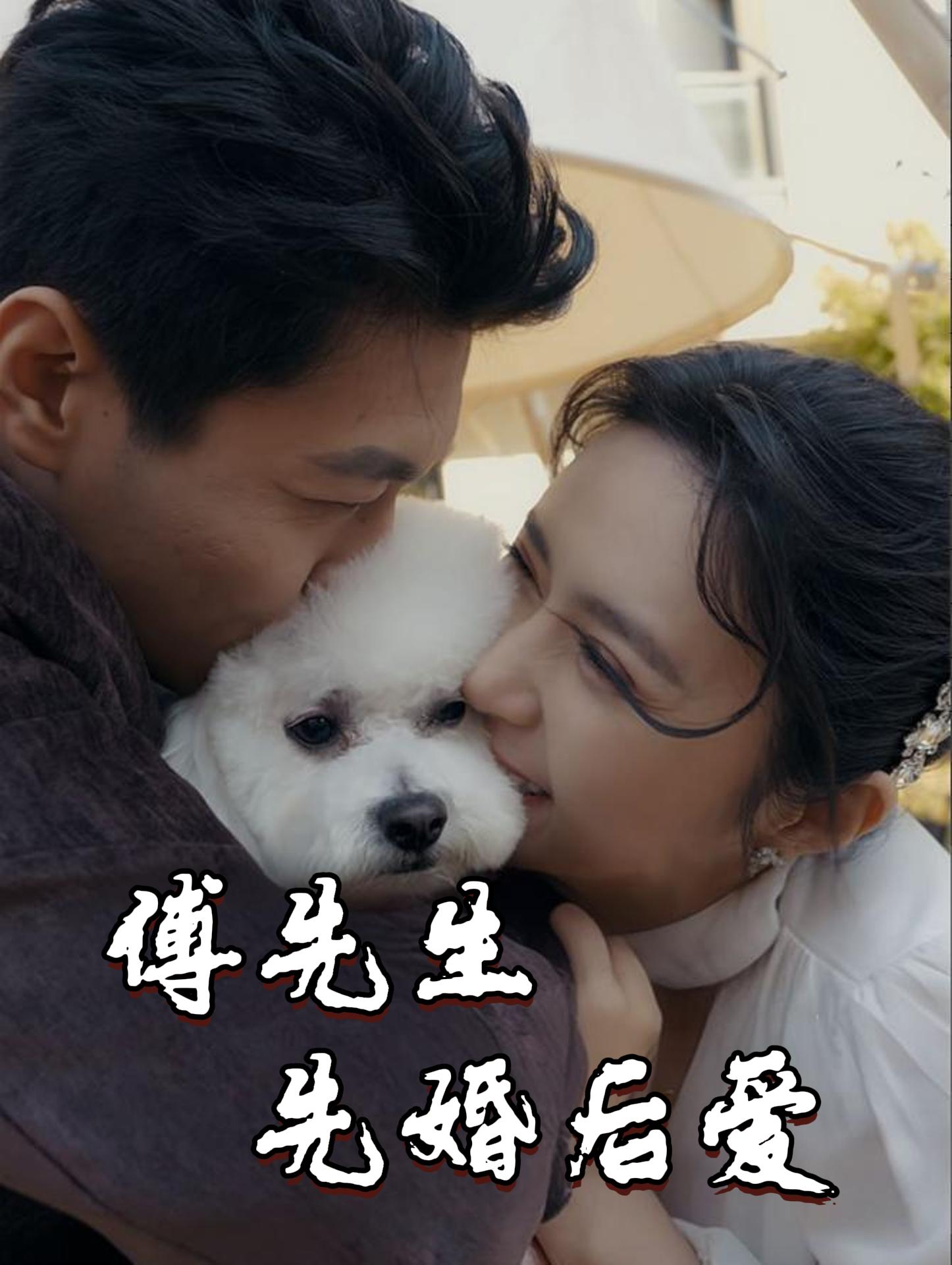 傅先生先婚后爱
